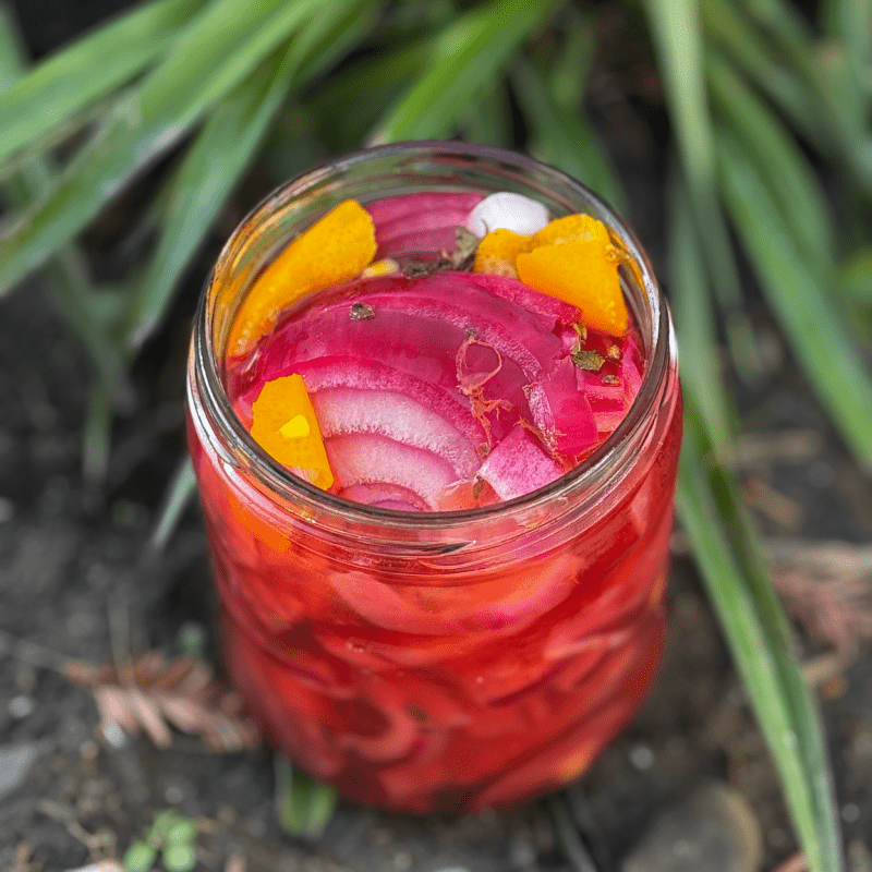 Pickled Onions with Orange Zest and Oregano - Photos and recipe: Dave Sands Firecracker Farm Recipe Image